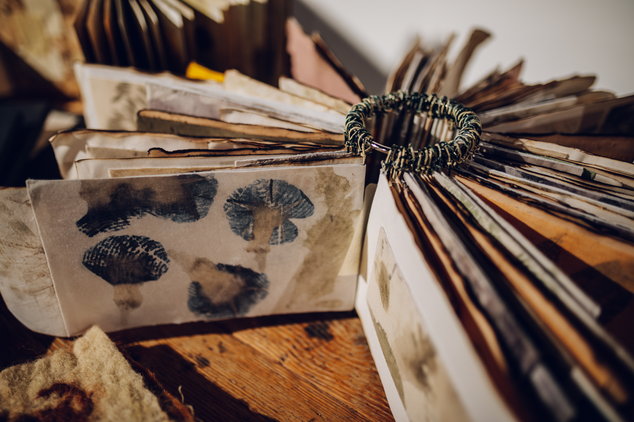 „Coloranți naturali în arta textilă contemporană”, la Muzeul ASTRA