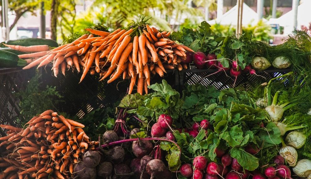 APIA suspendă primirea cererilor de solicitare a sprijinului temporar pentru fermieri