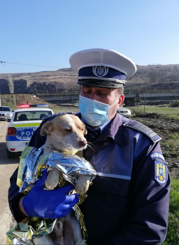 Ministrul de Interne: Nu voi tolera sub nicio formă abuzurile şi violenţele îndreptate asupra necuvântătoarelor