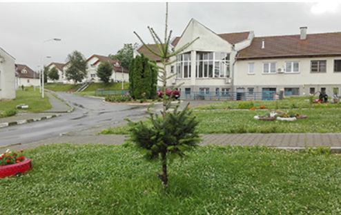 22 de focare COVID în centrele rezidențiale din județul Sibiu. Cel mai mare este la Centrul de Recuperare și Reabilitare Neuropsihiatrică Tălmaciu