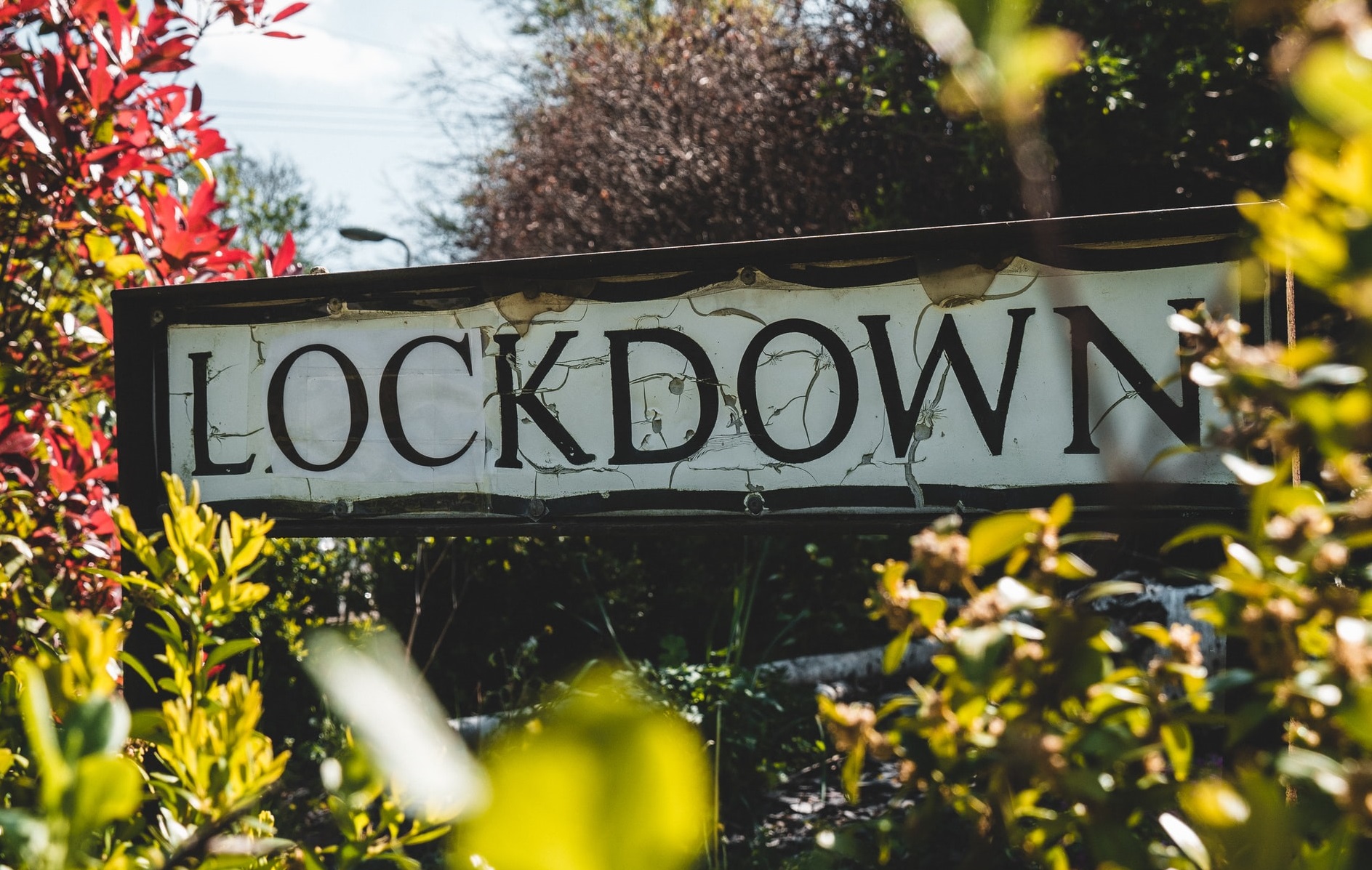 Care sunt cuvintele anului 2020, desemnate de editorii dicţionarului Oxford