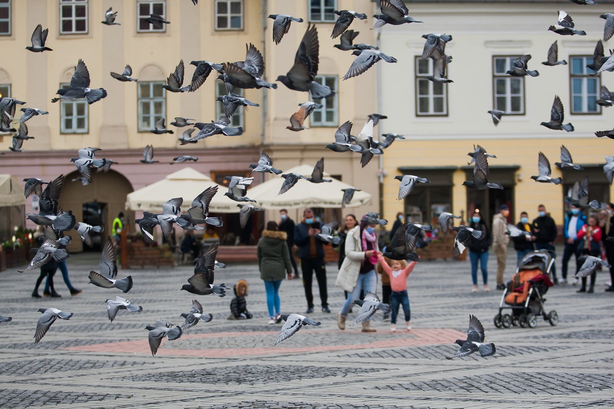 Cinci focare de infecție cu Covid-19, inclusiv 2 fabrici, descoperite de autorități în județul Sibiu