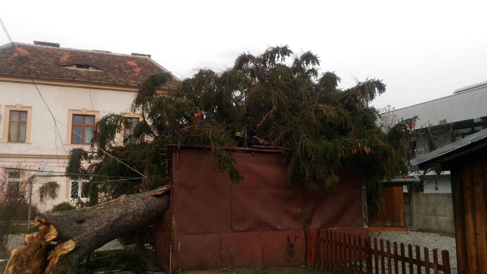 FOTO: Un brad a căzut peste garajele de pe strada Constantin Noica din Sibiu