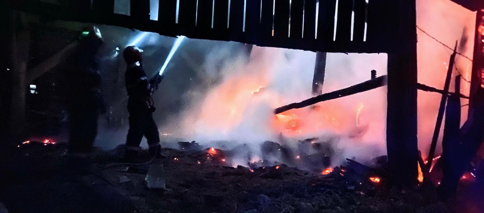 FOTO: Incendiu puternic provocat de o țigară aruncată la întâmplare