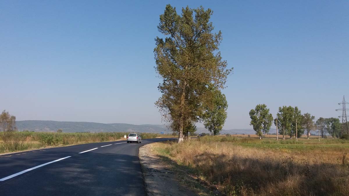 Finanțare europeană pentru Mârșa: se modernizează școala, grădinița și sala de sport și se construiesc 2 km de pistă de biciclete până în Avrig