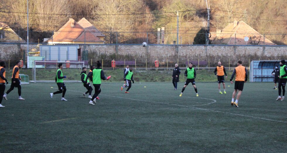 Gaz Metan vrea să transfere 3 jucători în această pauză