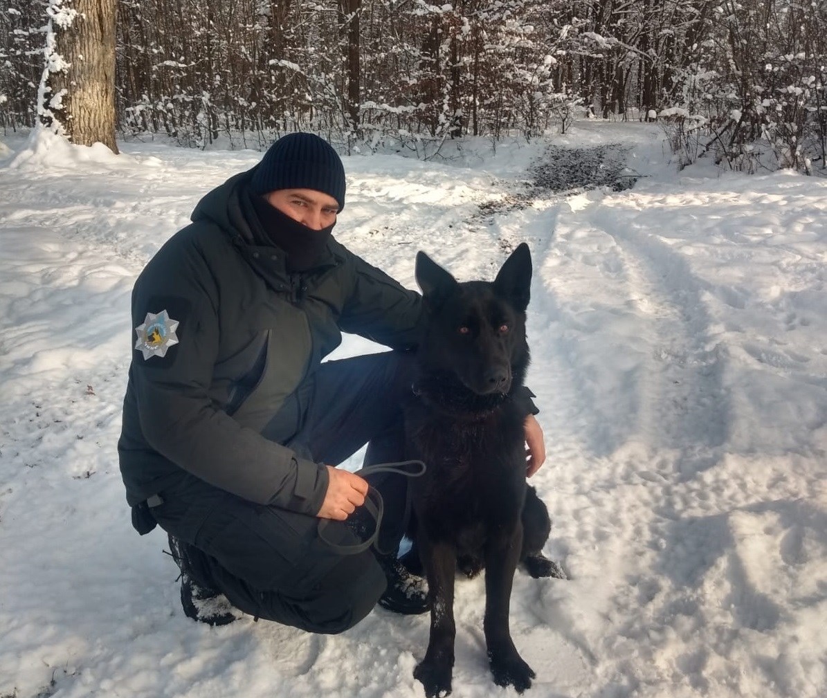 FOTO: Patru tineri care au furat un porc, prinși cu ajutorul lui Bond