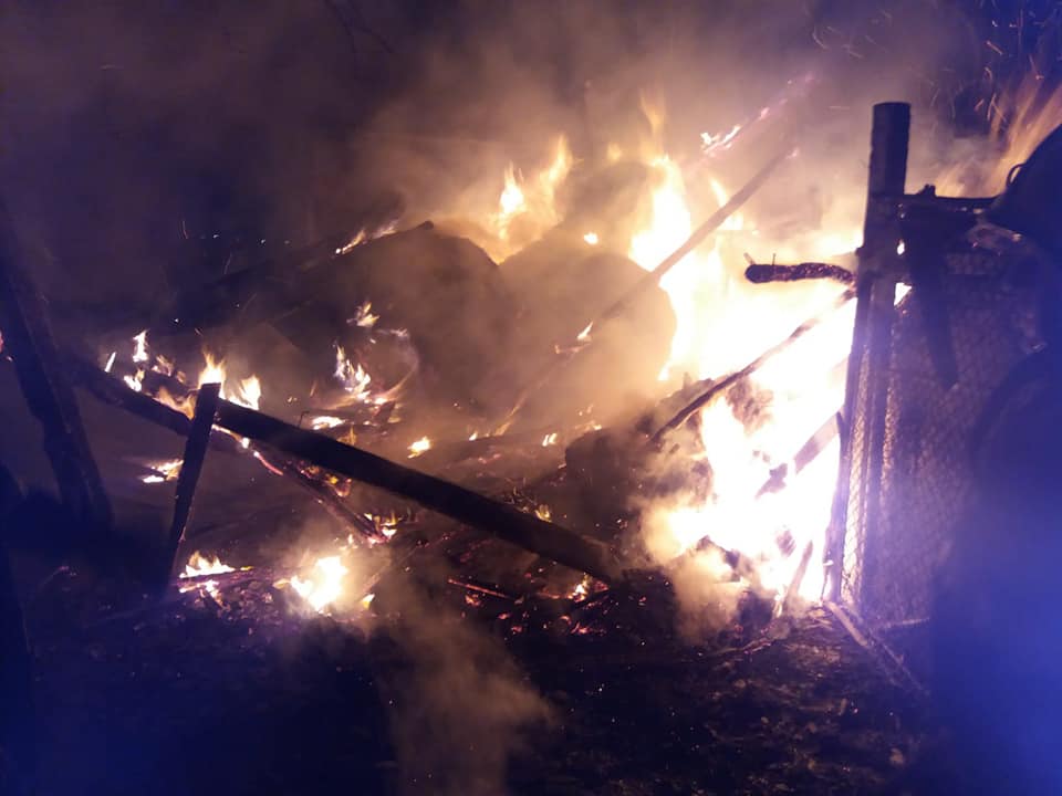 FOTO: Incendiu la o șură din Agnita