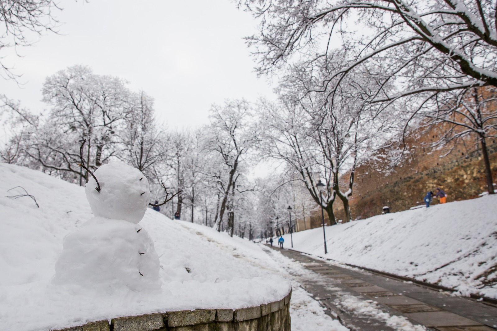 Rata de incidență COVID în Sibiu este de 2.29 / mia de locuitori
