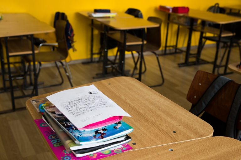 Directorii de școli pot decide dacă îi cheamă sau nu pe elevi la ore, în 23 decembrie