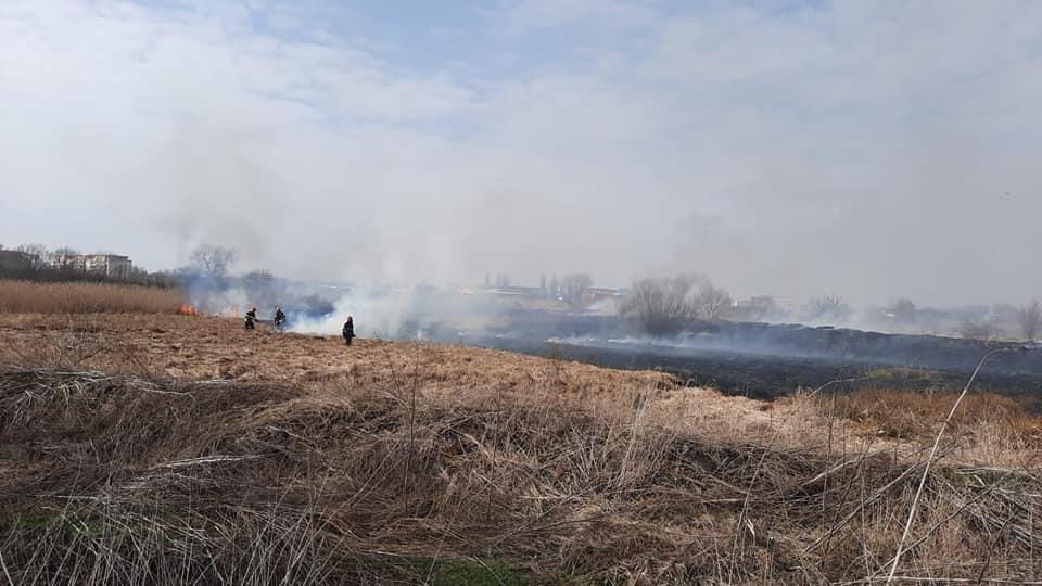 FOTO: Reîncep incendiile de vegetație în județul Sibiu. Ce recomandări au pompierii