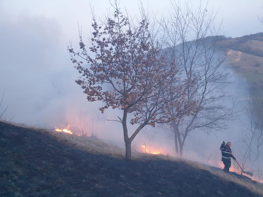 FOTO: Prăpăd în nordul județului. Zeci de hectare de vegetație, în flăcări