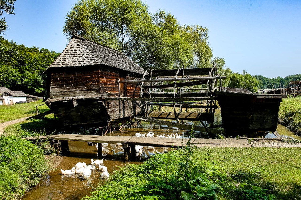 Muzeul Astra a pregătit două evenimente pentru sibieni, în weekend