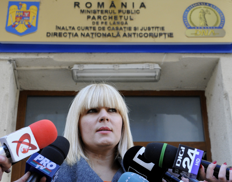 Elena Udrea face o ultimă încercare de a scăpa de condamnare