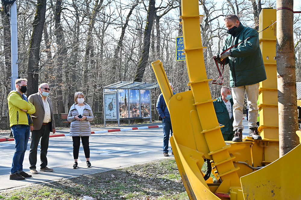 GALERIE FOTO&VIDEO  Cum sunt mutați arborii de pe Calea Dumbrăvii. Au început lucrările de modernizare