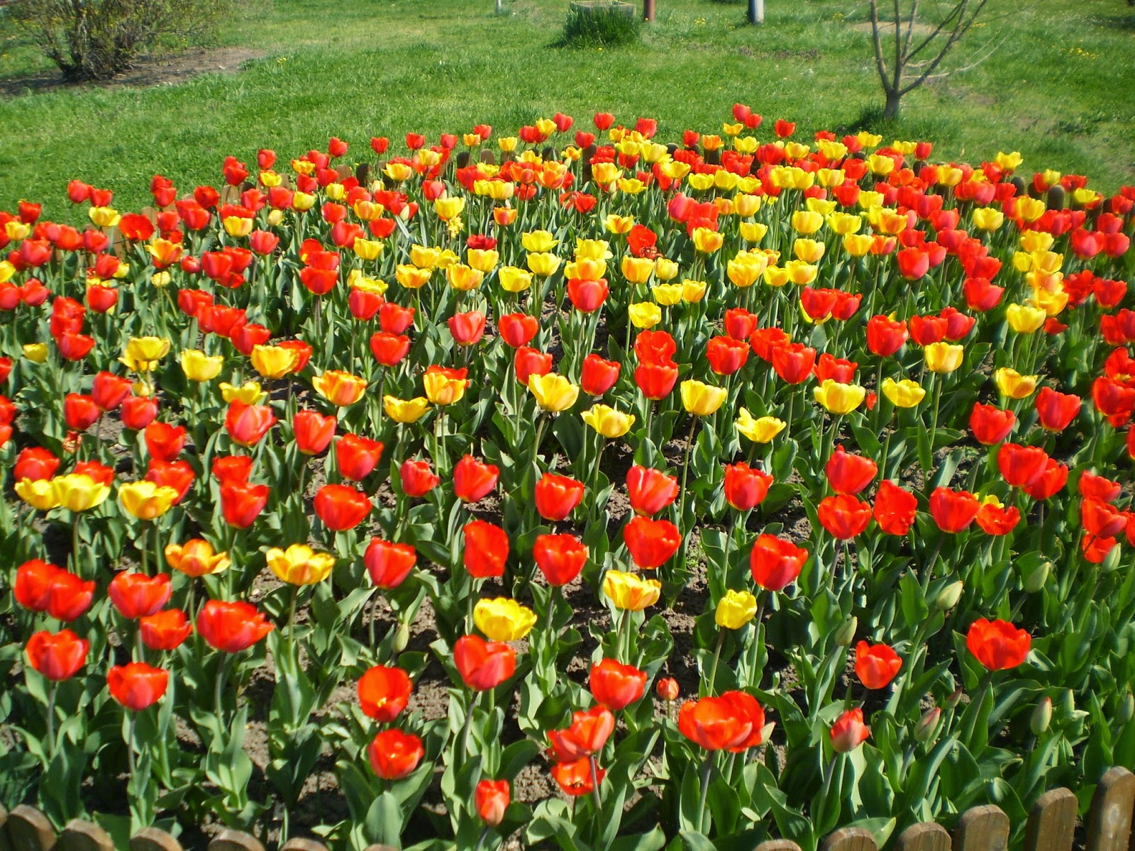 Concurs cu premii de 50.000 de lei pentru asociațiile de locatari sau proprietari din Mediaș