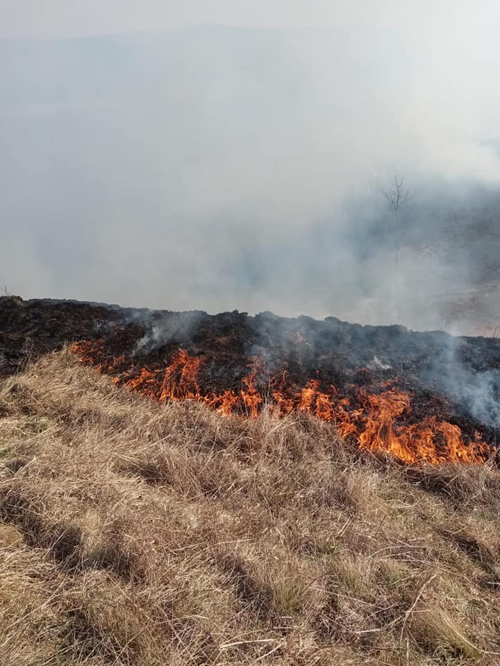 FOTO: 5 incendii s-au produs în ultimele două zile în județ
