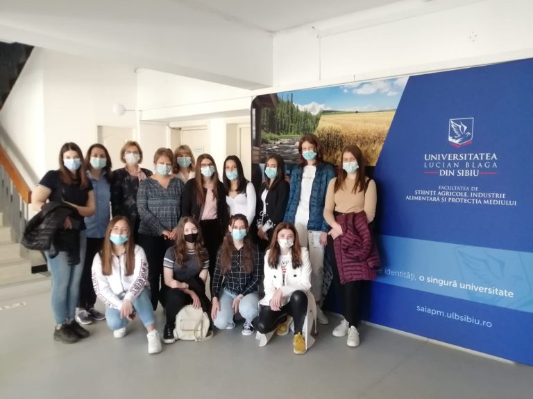 Proiectul Pulchra, aproape de final