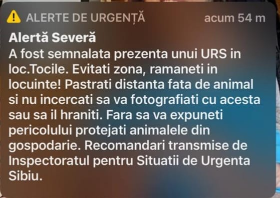 ALERTĂ ISU Un urs, semnalat la 112, în zona Tocile. Autoritățile au emis un avertisment