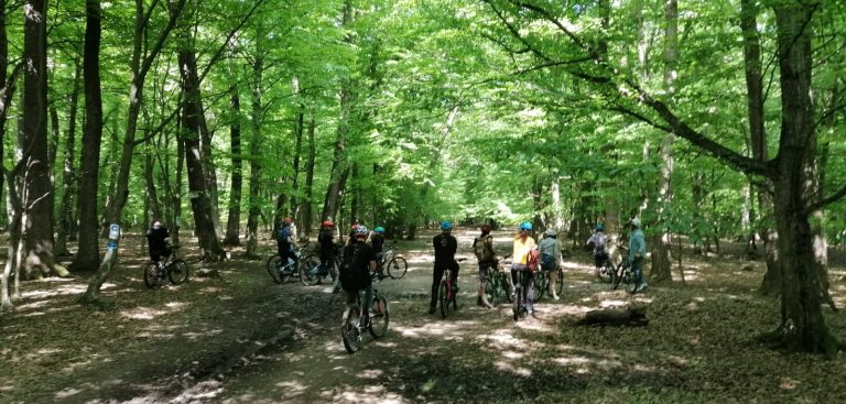 „Anii Drumeției”, program de dezvoltare a ecoturismului în județul Sibiu