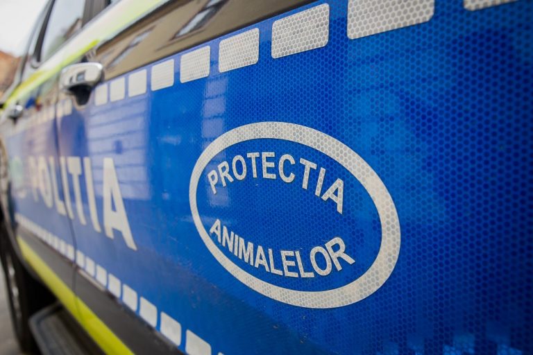 Ofițer de poliție reținut după ce a împușcat un câine