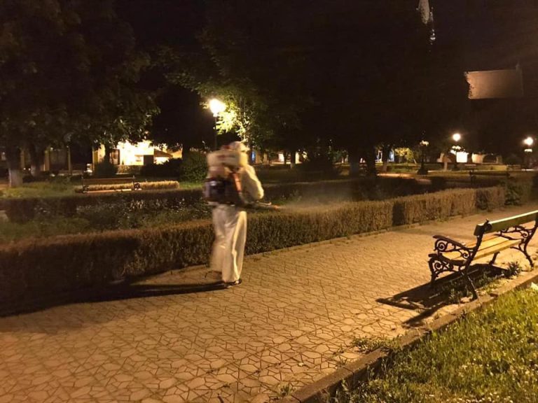 Astăzi și mâine au loc acțiuni de dezinsecție în Sibiu