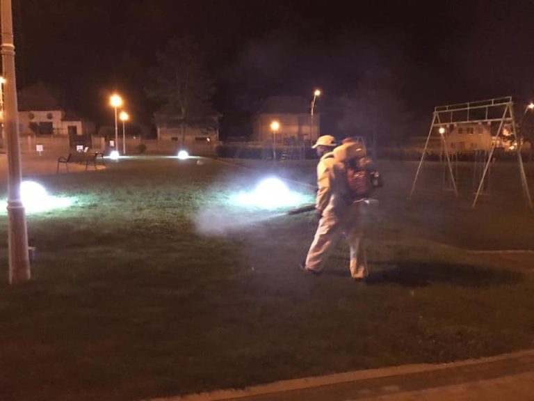 FOTO A început dezinsecția zonelor verzi din Mediaș