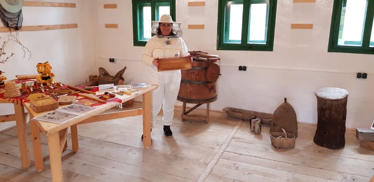 Atelier dulce în Muzeul în aer liber din Dumbrava Sibiului