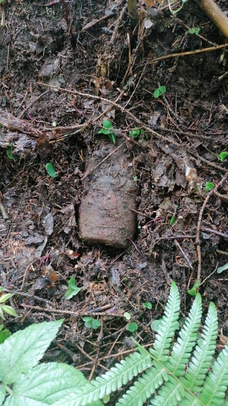 FOTO Proiectil descoperit pe Valea Avrigului