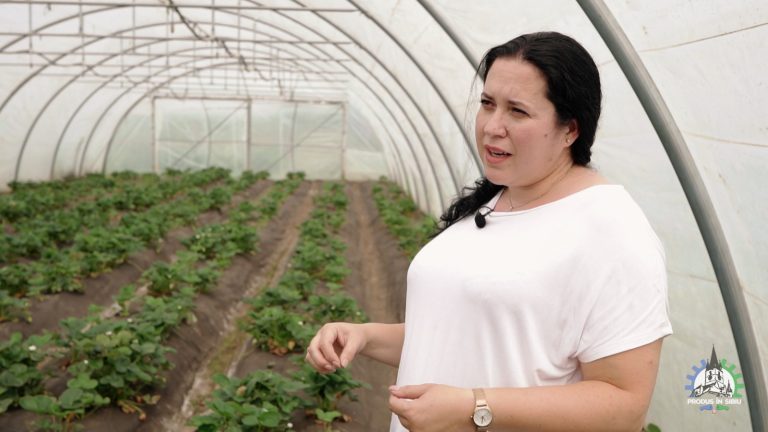 Căpșunele de Sibiu, din „Grădina Verde”, născute din dragostea pentru copii