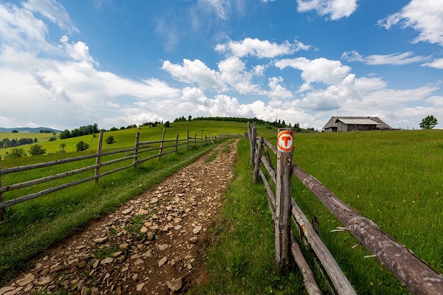 Via Transilvanica: Povestea drumului care leagă țara la pas a ajuns la kilometrul 800