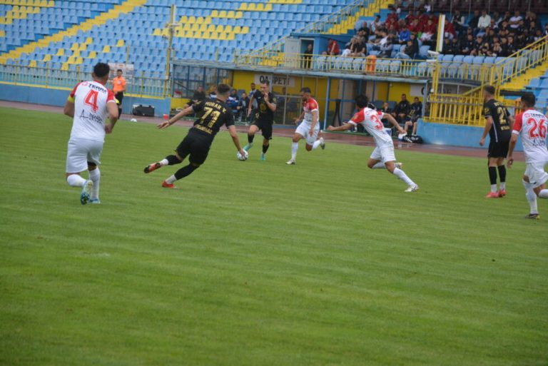 Gaz Metan a învins Rapid într-un meci amical