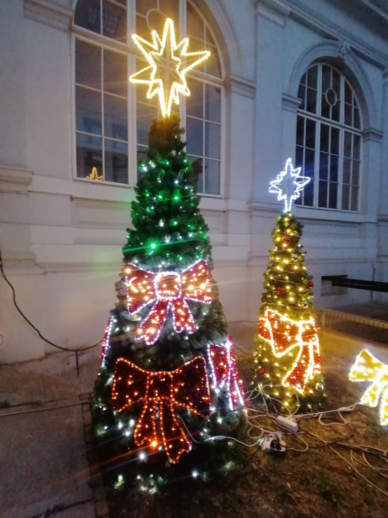 FOTO În plin cod de caniculă se probează bradul pentru Crăciun