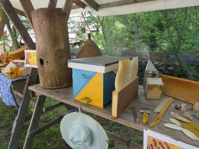 Ateliere apicole organizate în Muzeul Astra