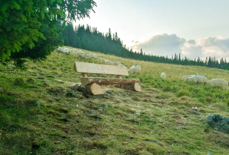 Echipa de la „Anii Drumeției” a dezvoltat un prototip de bancă pentru traseele turistice