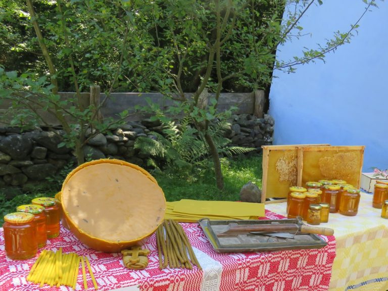 Trei evenimente, marţi, la Muzeul Astra