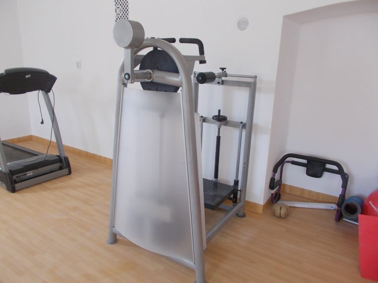 FOTO Aparatură din Germania pentru sala de fitness a liceului “Axente Sever” Mediaș