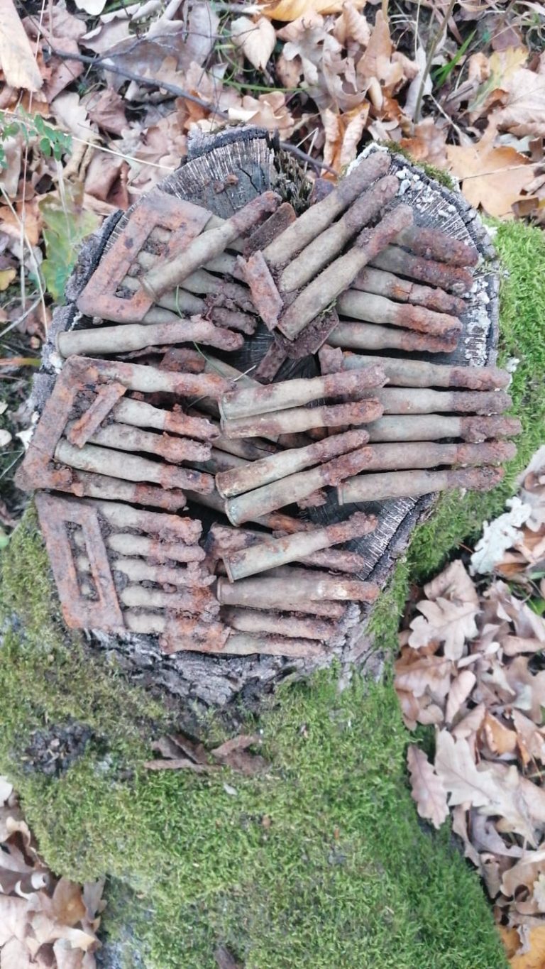 FOTO Zeci de cartușe descoperite în Roșia