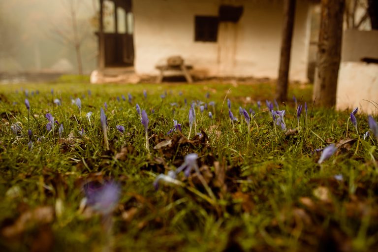 Copiii, provocați să „construiască” o casă țărănească din Muzeul ASTRA