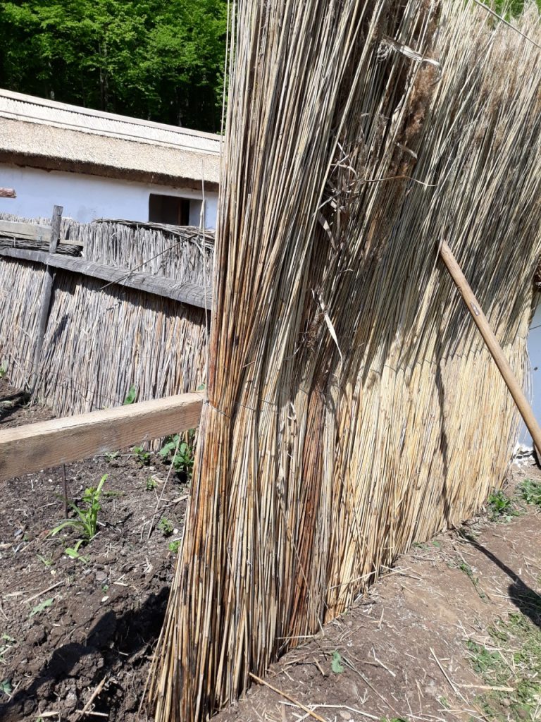 Ateliere de confecționare garduri de stuf în Muzeul Astra