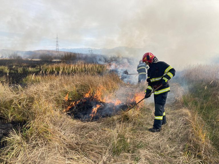 FOTO Incendiu de vegetaţie la Mohu