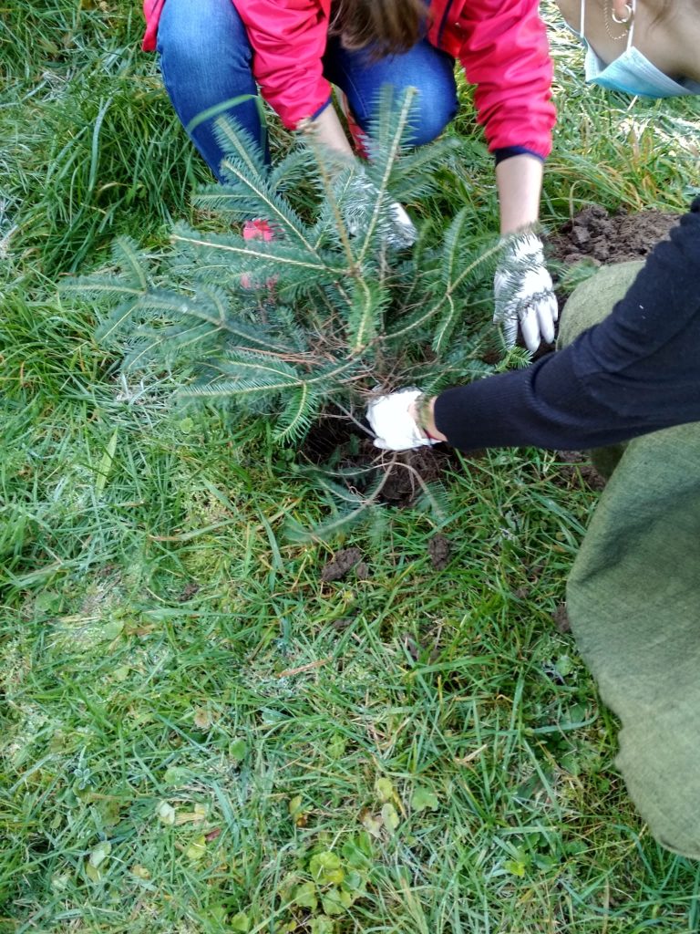 Liceul Teoretic „Axente Sever” Mediaş, la Ziua Verde a Eco-Şcolilor din România
