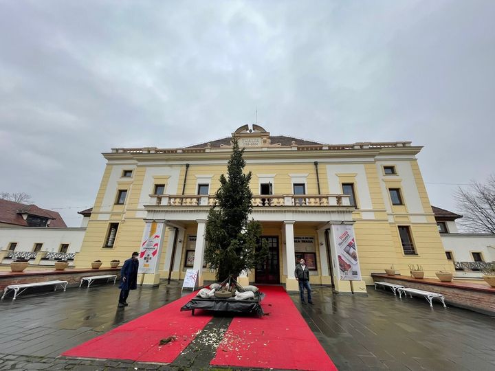 Sibienii, așteptați să împodobească bradul Filarmonicii de Stat Sibiu