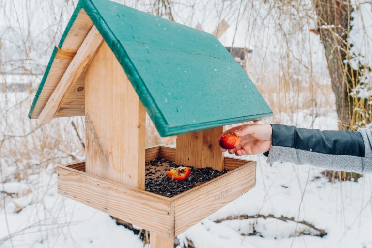 Muzeul din Dumbrava Sibiului are oaspeți de sezon