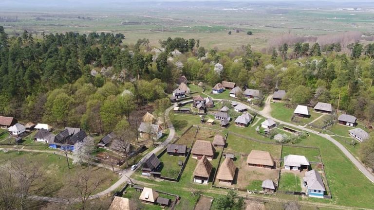 Muzeul ASTRA caută voluntari