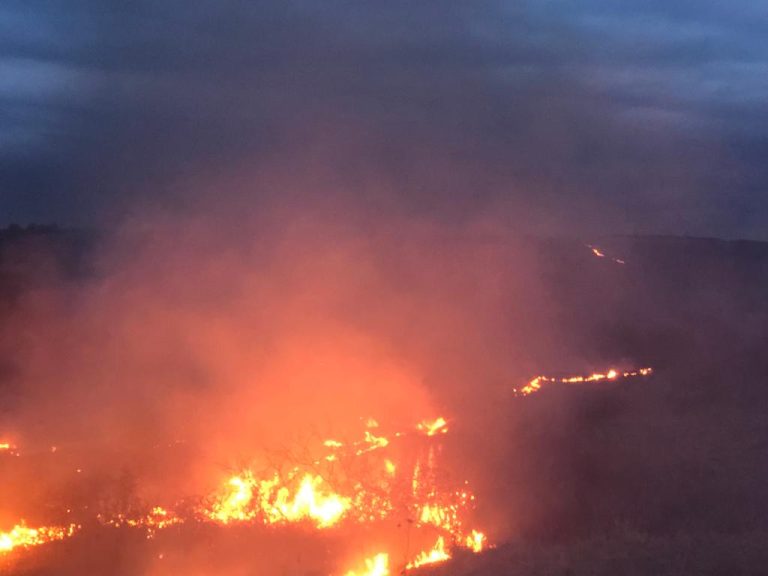 Peste 190 de intervenții ale pompierilor sibieni, weekendul trecut