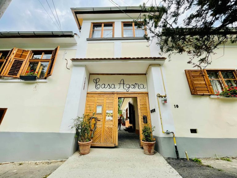 Cisnădioara va avea bibliotecă școlară