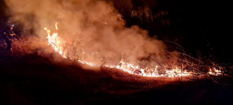 Cinci hectare de vegetație uscată au ars în doar 24 de ore, în județul Sibiu