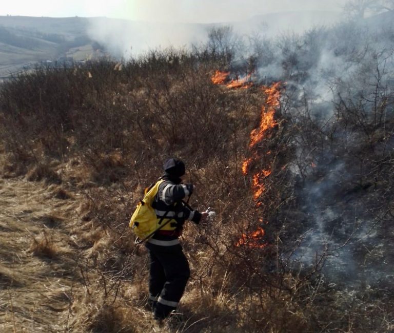 Ministrul Agriculturii: Cei care îşi incendiază miriştile vor pierde subvenţiile agricole; vom înăspri sancţiunile