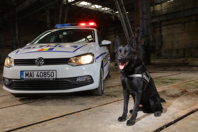 Polițiștii vor avea salarii mai mari de la 1 iunie